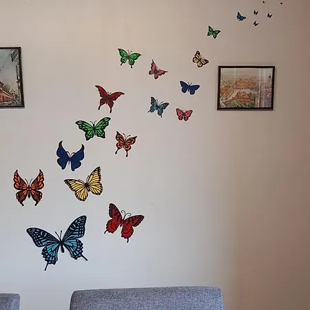 Detente A Appartement